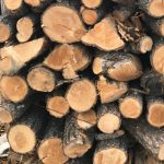 pinion firewood stack